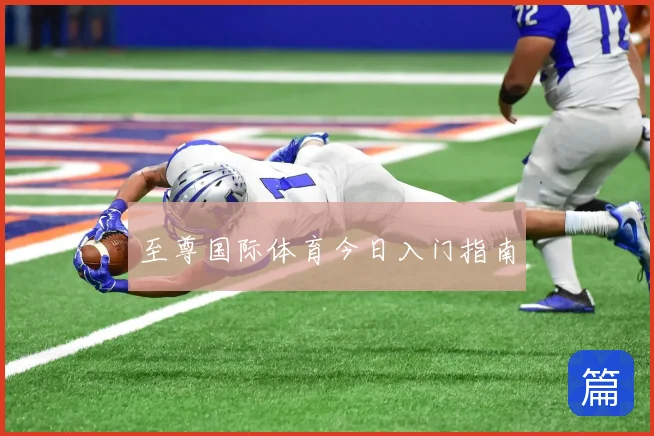 至尊国际体育今日入门指南