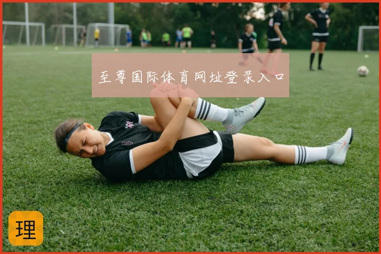 至尊国际体育网址登录入口